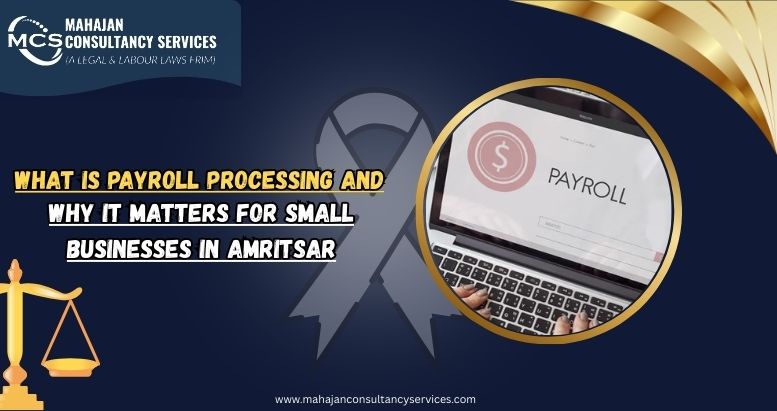 What Is Payroll Processing and Why It Matters for Small Businesses in Amritsar